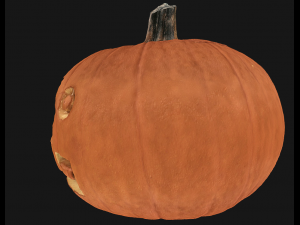 pumpkin halloween 3Dモデル