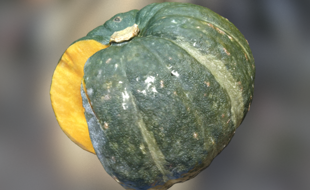 pumpkin realistic 3D 模型 .c4d .max .obj .3ds .fbx .stl .blend 