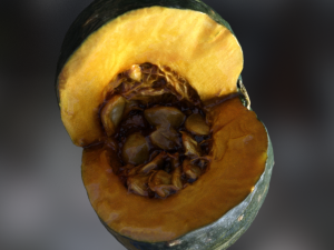 pumpkin realistic 3D 模型