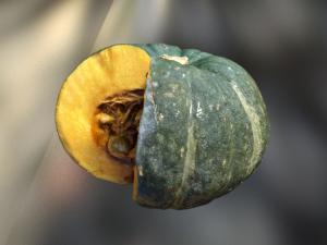 pumpkin realistic 3D 模型