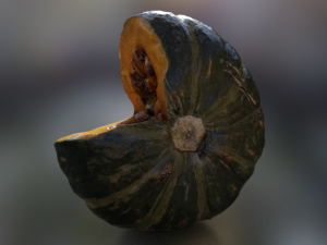 pumpkin realistic 3D 模型
