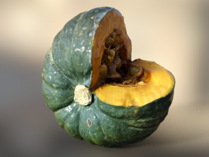 pumpkin realistic 3D 模型