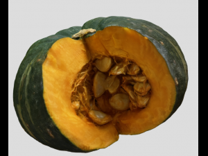 pumpkin realistic 3D 模型