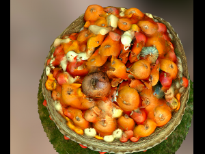pumpkin festival 3D Model