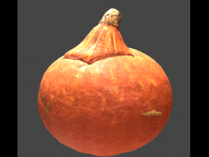 pumpkin halloween scan 3D 모델
