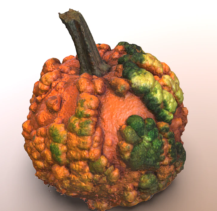 pumpkin food with warts 3D Model .c4d .max .obj .3ds .fbx .stl .blend