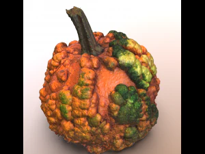 いぼのあるカボチャの食べ物 3Dモデル
