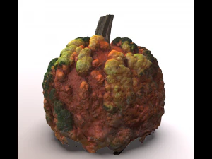 pumpkin food with warts 3D Model
