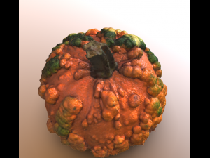 pumpkin food with warts Modello 3D