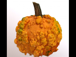 pumpkin food with warts 3D Model