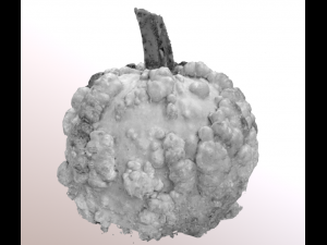 pumpkin food with warts Modello 3D