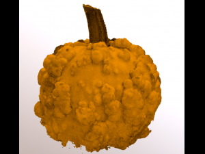 pumpkin food with warts Modello 3D