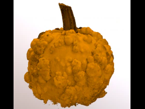 pumpkin food with warts 3D Model