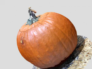 jack halloween pumpkin 3D Model