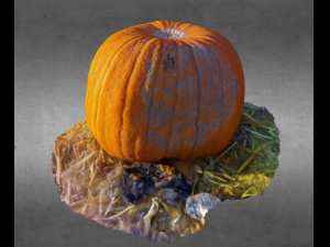 pumpkin food realistic scan 3D-Modell