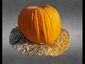 pumpkin food realistic scan 3D Modell