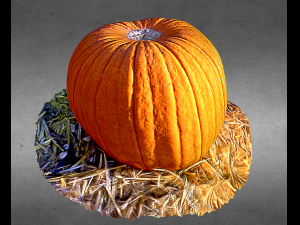 pumpkin food realistic scan 3D Modell