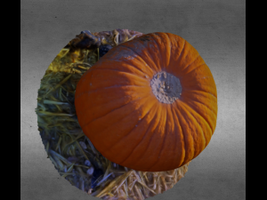 pumpkin food realistic scan 3D Modell