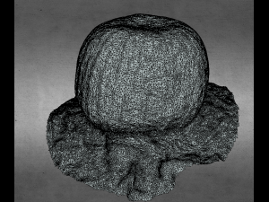 pumpkin food realistic scan 3D Modell
