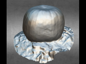 pumpkin food realistic scan 3D Modell