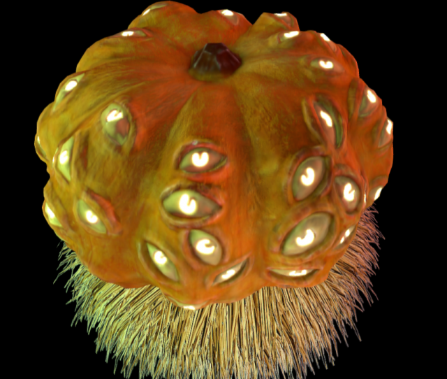 contest pumpkin 3D Model .c4d .max .obj .3ds .fbx .stl .blend 