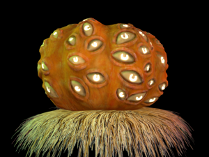 contest pumpkin 3D Model