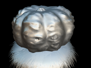 contest pumpkin 3D Model