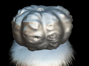 contest pumpkin 3D Model