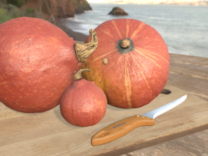 pumpkin hokaido ambient scene 3D Model