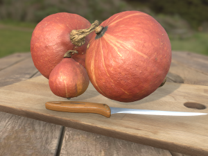 pumpkin hokaido ambient scene 3D Model