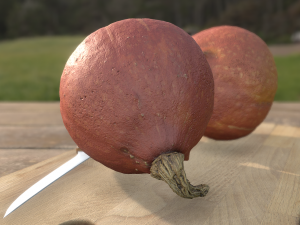 pumpkin hokaido ambient scene 3D Model