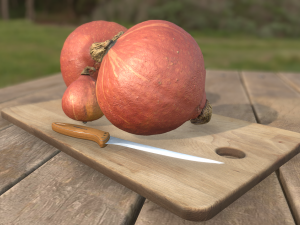 pumpkin hokaido ambient scene 3D Model