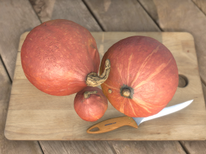pumpkin hokaido ambient scene 3D Model