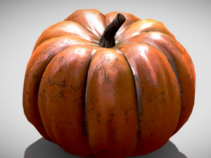 pumpkin vegetable 3D Model