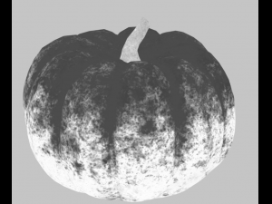 pumpkin vegetable 3D Model