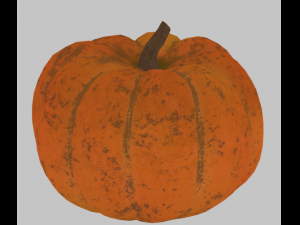 pumpkin vegetable 3D Model