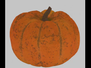 pumpkin vegetable 3D Model