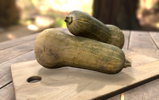 elongated pumpkin vegetable 3D Model .c4d .max .obj .3ds .fbx .stl .blend 
