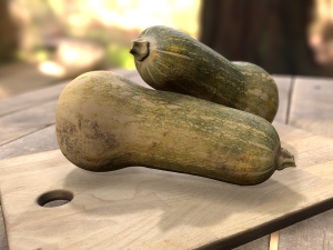 elongated pumpkin vegetable 3D-Modell