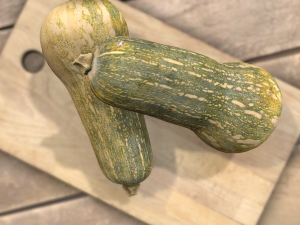 elongated pumpkin vegetable 3D Model
