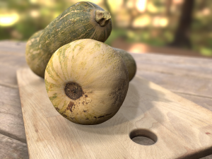 elongated pumpkin vegetable 3D Model