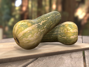 elongated pumpkin vegetable 3D Model