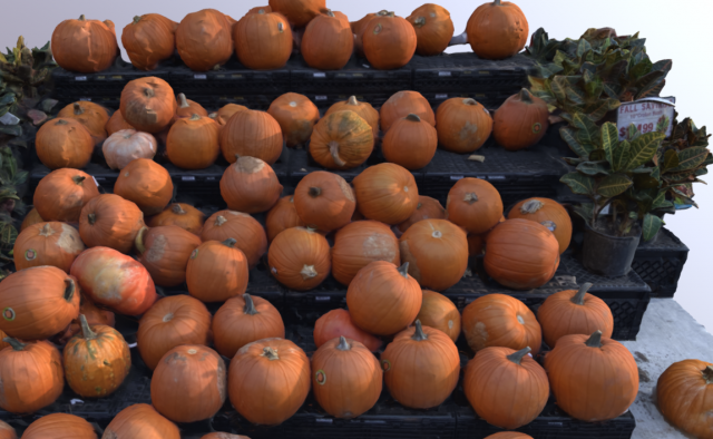 pumpkin vegetal 3D Модель .c4d .max .obj .3ds .fbx .stl .blend 
