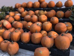 pumpkin vegetal 3D Model