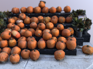 pumpkin vegetal 3D Модель