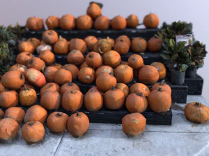 pumpkin vegetal 3D Model