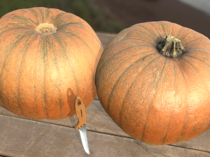 pumpink vegetable realistic Modèle 3D