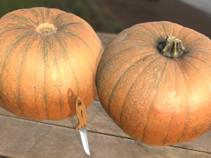 pumpink vegetable realistic 3D Model