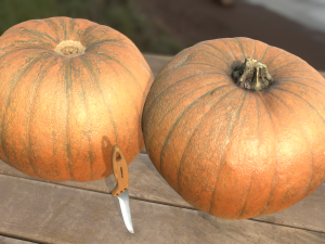 pumpink vegetable realistic Modèle 3D