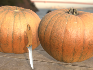 pumpink vegetable realistic Modèle 3D